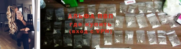 дурь Богородицк