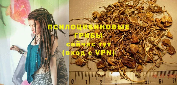 ALPHA PVP Богданович