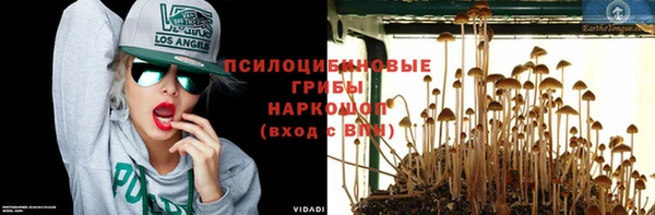 ALPHA PVP Богданович