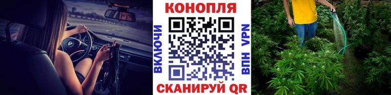 Марихуана THC 21%  как найти закладки  Сковородино 